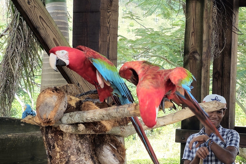 Punta Cana: Parco La Hacienda