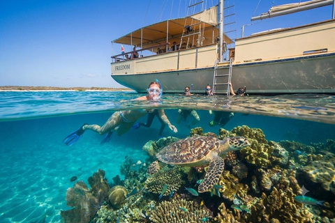 Aruba: Afternoon Snorkel Cruise