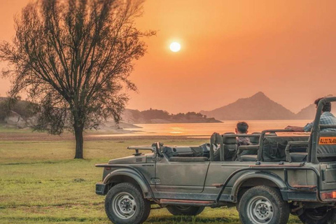 Ranthambore: core zone-1 to 5 Gypsy Tiger Safari with Lunch Ranthambore: core zone-1 to 5 Gypsy Tiger Safari with Lunch