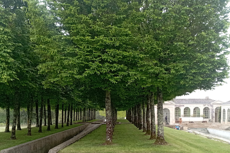 Wine Tour : the beauty and flavors of Bordeaux vineyards.