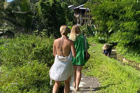 Entdecke die versteckten Juwelen der Wasserfälle in UbudPrivate Gruppe mit englischsprachigem Guide Tour