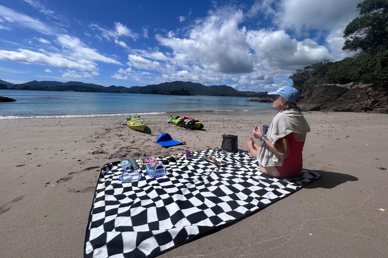 Bay of Islands: Island Discovery Kayak Tour - Afternoon