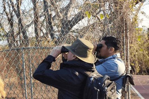 Oaxaca: Excursión de observación de aves con transporte de ida y vuelta