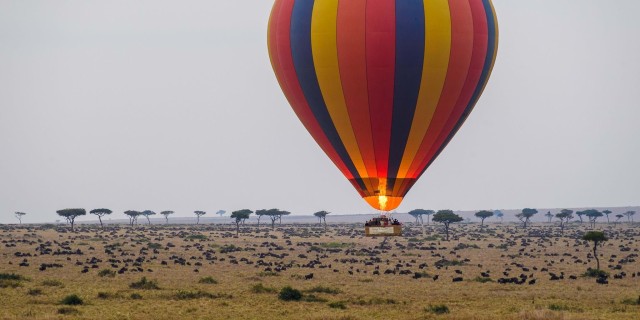 Visit Masai Mara Hot Air Balloon Safari with Champagne Breakfast in Maasai Mara National Reserve