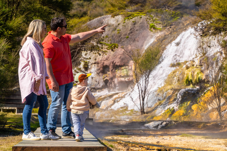 From Auckland: Waitomo Cave and Orakei Korako Group Day Tour