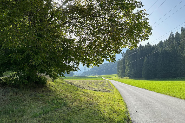 La forêt comme salle d&#039;évasion pour toute la famille