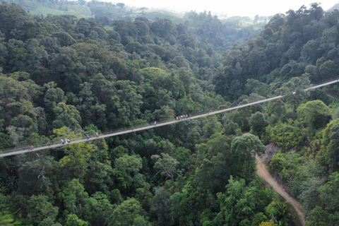 Bandung;White Crater,Hot Springs,Tea n strawberry plantation
