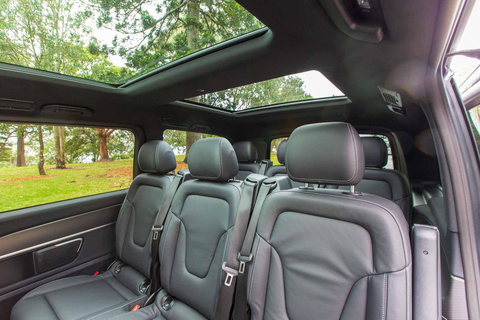 Private Sydney Beaches Escape Tour Private Group Tour