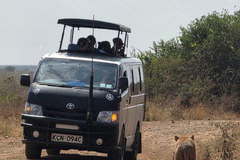 Nairobi National Park&Elephant Orphanage&Giraffe Centre Tour