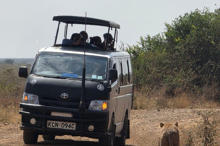 Nairobi National Park&Elephant Orphanage&Giraffe Centre Tour