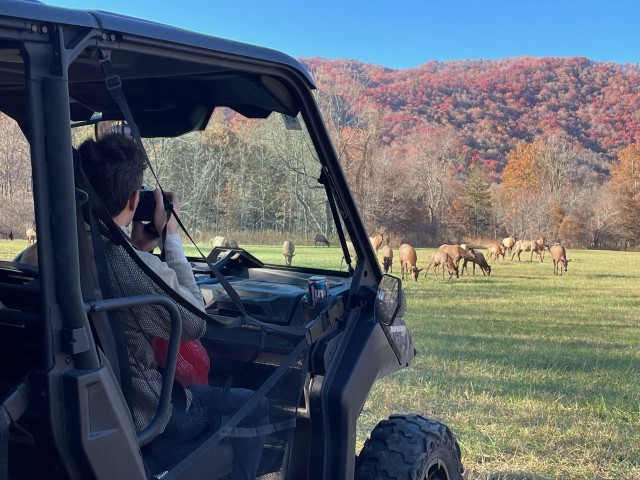 Visit (4 HR) GUIDED Smoky Mountain UTV Eco Elk Adventure in Blue Ridge Parkway