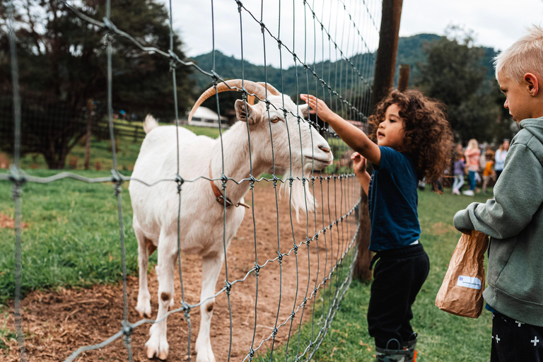 Auckland: Honey Center, Horse Riding & Sheep World Tour