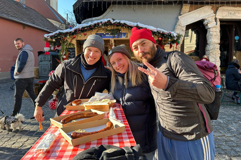 E-Bike Tour to Szentedre