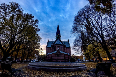 Oslo El-Bike Panorama Tour