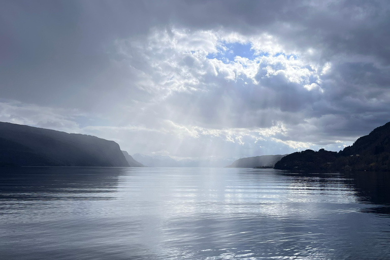 Bergen: Privat tur i staden med det bästa av HardangerfjordenBergen: Privat guidad stadstur och det bästa av fjordarna.