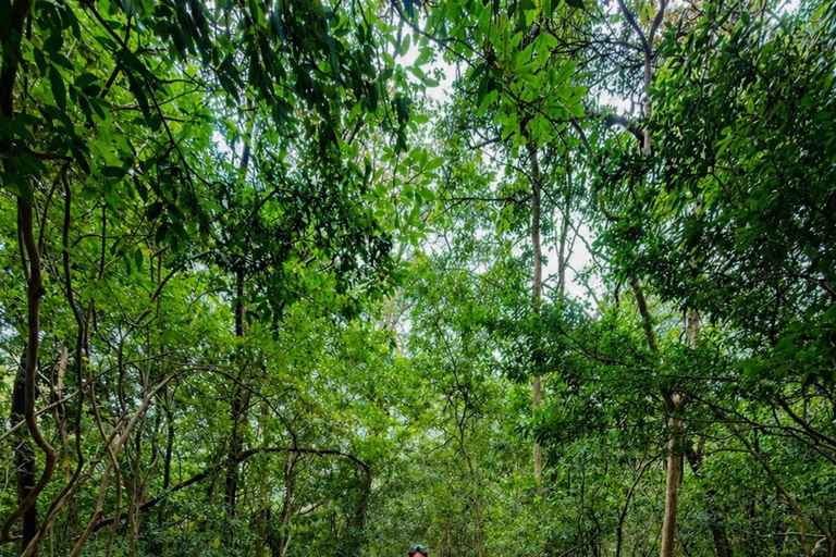 Sigiriya: Ritigala Hike, Village Tour, and Cooking Class Sigiriya : Ritigala Hike & Village Tour with Cooking & Lunch