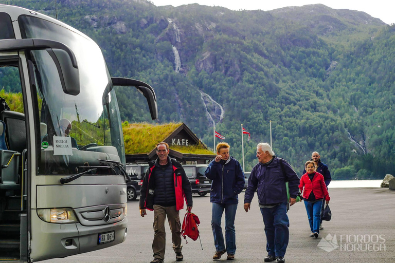 Haugesund Shore Excursion: Åkrafjorden &amp; Langfoss Waterfall