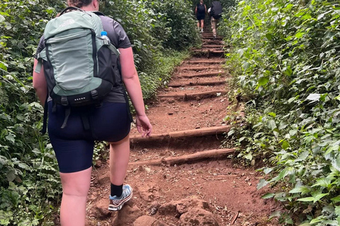 Randonnée d&#039;une journée sur le mont Kilimandjaro à travers la porte de Maranguprix de groupe