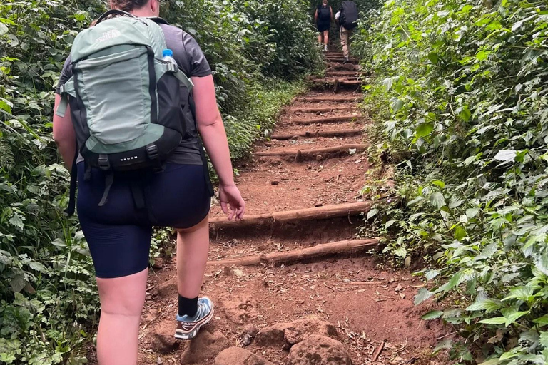 Randonnée d&#039;une journée sur le mont Kilimandjaro à travers la porte de Maranguprix de groupe