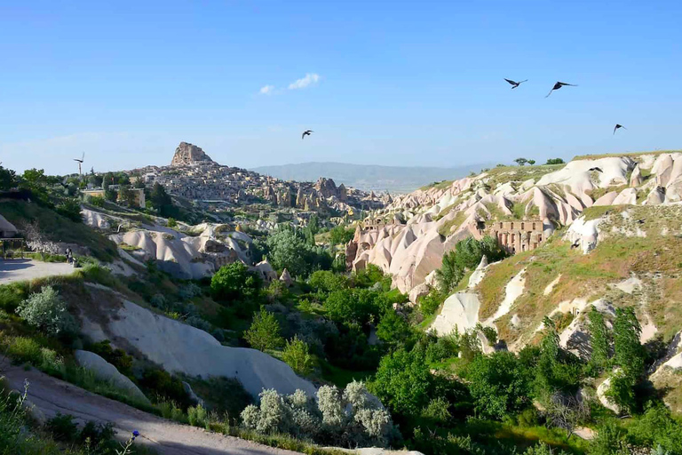 Cappadocia: Camel Safari & Vineyard Trails with Ebook