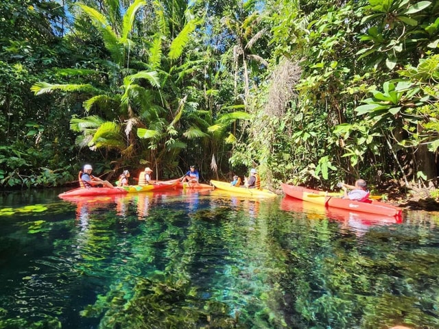 Krabi: Half Day Kayaking Adventure at Khlong Rood