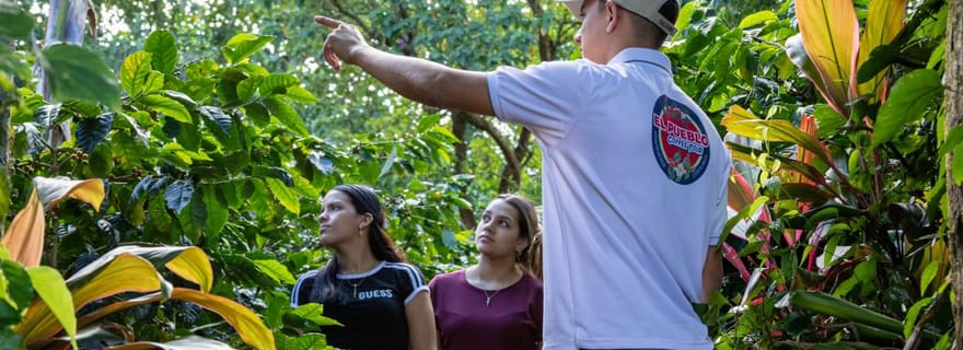 Monteverde : visite sur le café et la canne à sucre à El Pueblo