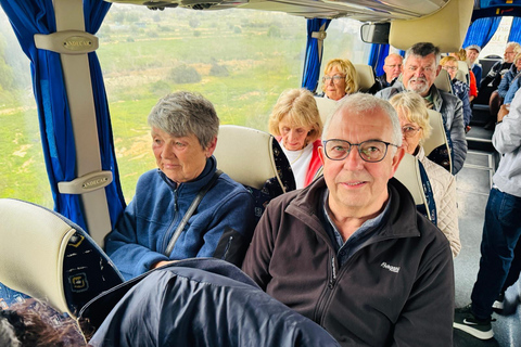 Alicante: Tour de vinhos e almoço com visita a uma adega e Novelda