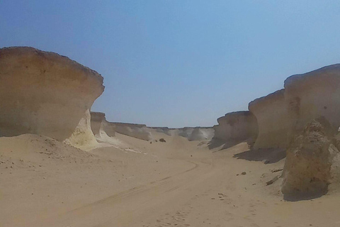 Doha: West Coast Qatar Tour, Sculptures, Camel Racing track From Doha Premium West Qatar Tour