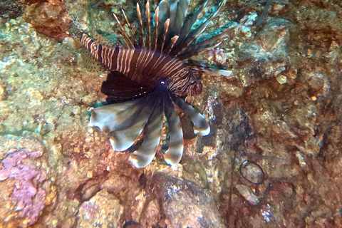 Scuba Diving in the Volcanic Caldera/shorelines of Santorini