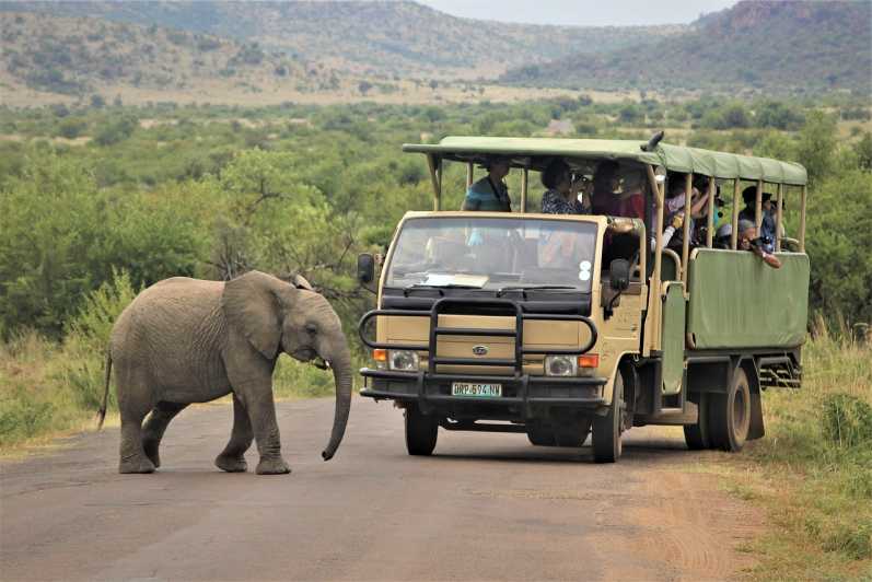 South Africa Joburg: Pilanesberg National Park Day Tour