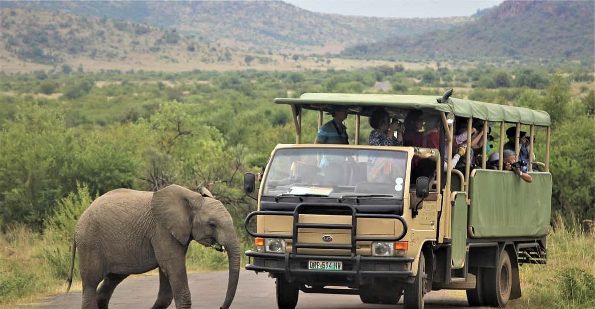 South Africa Joburg Pilanesberg National Park Day Tour GetYourGuide