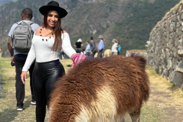 Depuis Cusco : Excursion d'une journée à Machupicchu en train
