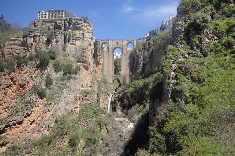 Ronda: Tajo de Ronda Canyoning Adventure With 35 m Rappel