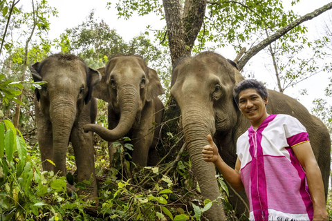 Chiang Mai: Santuario del Proyecto Sueño del Elefante - Día completo