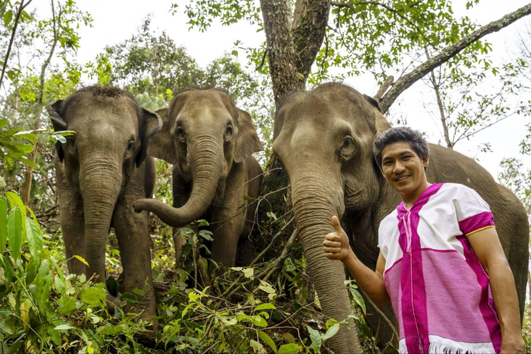 Chiang Mai: Elephant Dream Project Sanctuary - Ganzer Tag