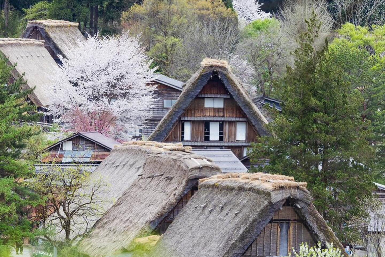 Z Kanazawy/Toyamy: jednodniowa wycieczka do Shirakawago i Takayamy