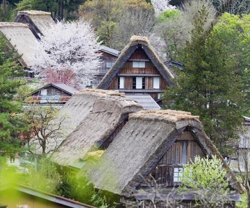 From Kanazawa/Toyama: Shirakawago and Takayama Day Tour