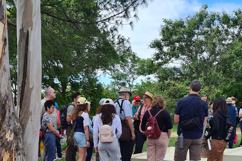 Oaxaca: Odkryj Monte Albán i targi w OaxacaOaxaca: Odkryj Monte Albán i smaki targowisk