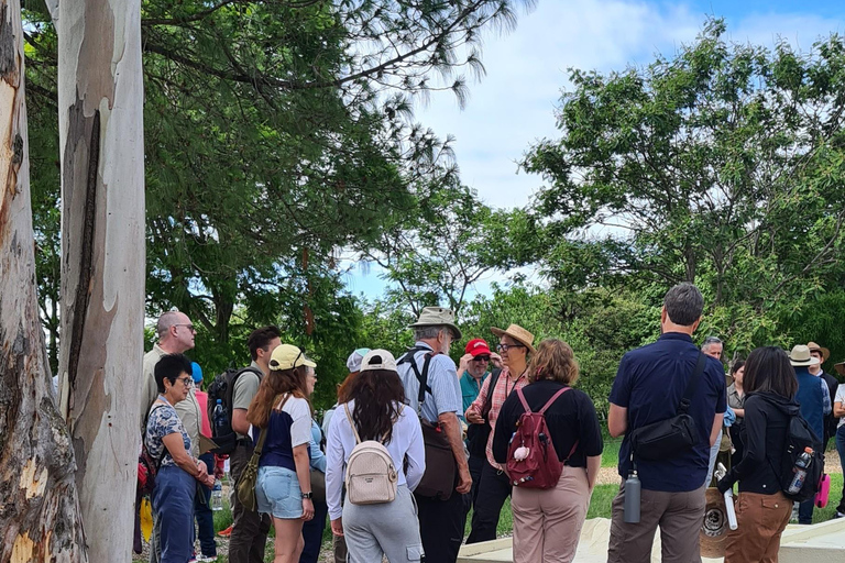 Oaxaca: Odkryj Monte Albán i targi w OaxacaOaxaca: Odkryj Monte Albán i smaki targowisk