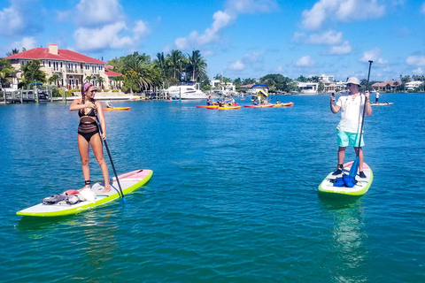 Sarasota: Lido Key Mangrove Tunnel Kayak or Paddleboard Tour Paddleboard