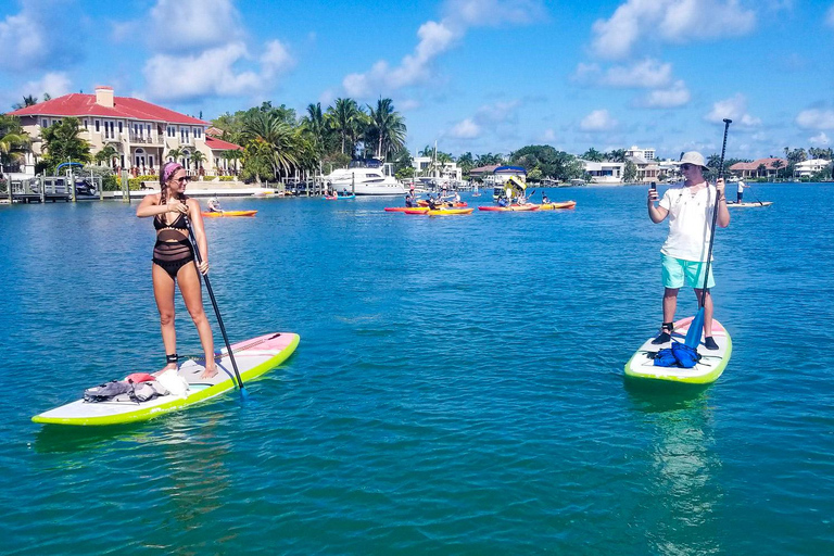 Sarasota: Lido Key Mangrove Tunnel Kayak or Paddleboard Tour Paddleboard