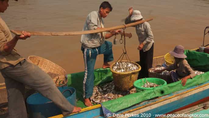 tonle sap floating villages beng mealea temple photo tour
