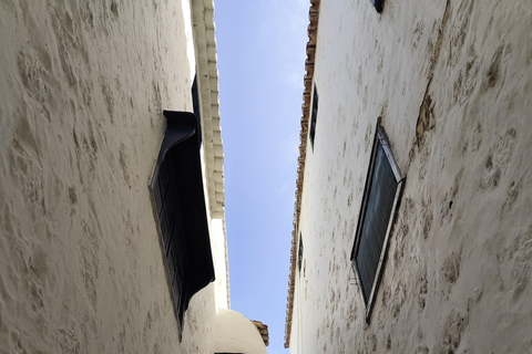 Santa Cruz de La Palma: Official Guided Walking Tour