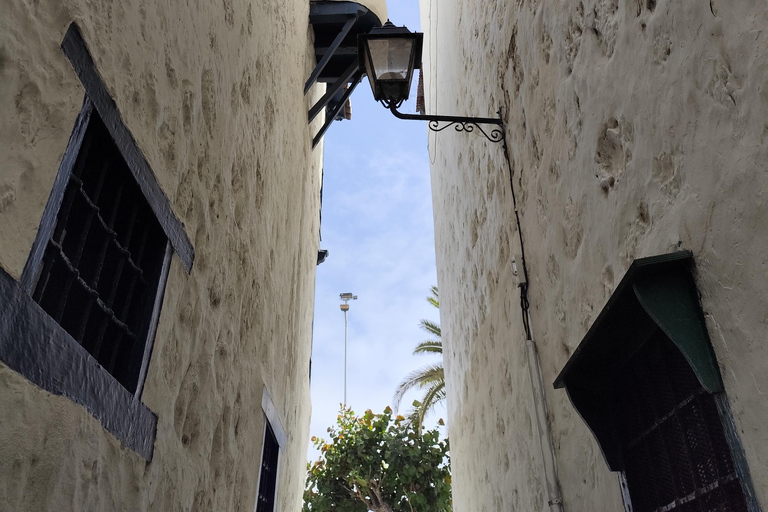 Santa Cruz de La Palma: Official Guided Walking Tour
