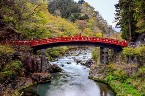 Tokyo: Nikko Luxury Private Day Tour with English guide