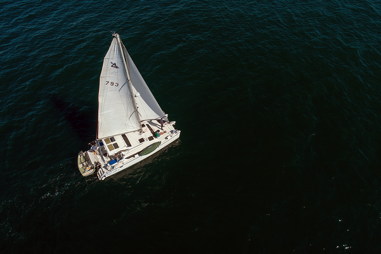 Marina Del Rey: 2 uur privé catamarantour door de jachthaven