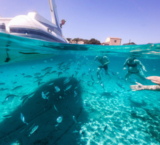 Snorkeling a Palau (Italia)