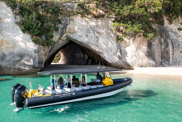 Whitianga: 2-stündige Kathedrale Cove und Vulkan-Küstenfahrt