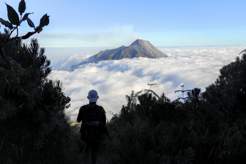 Yogyakarta: Mount Merbabu Guided Hike with Transfers Mount Merbabu Guided Camping Hike (All Inclusive)