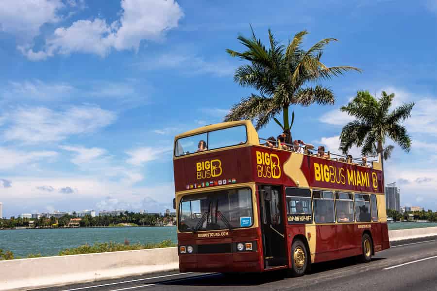 Miami: Everglades Experience, Bay Cruise & Open-Top Bus Tour. Foto: GetYourGuide